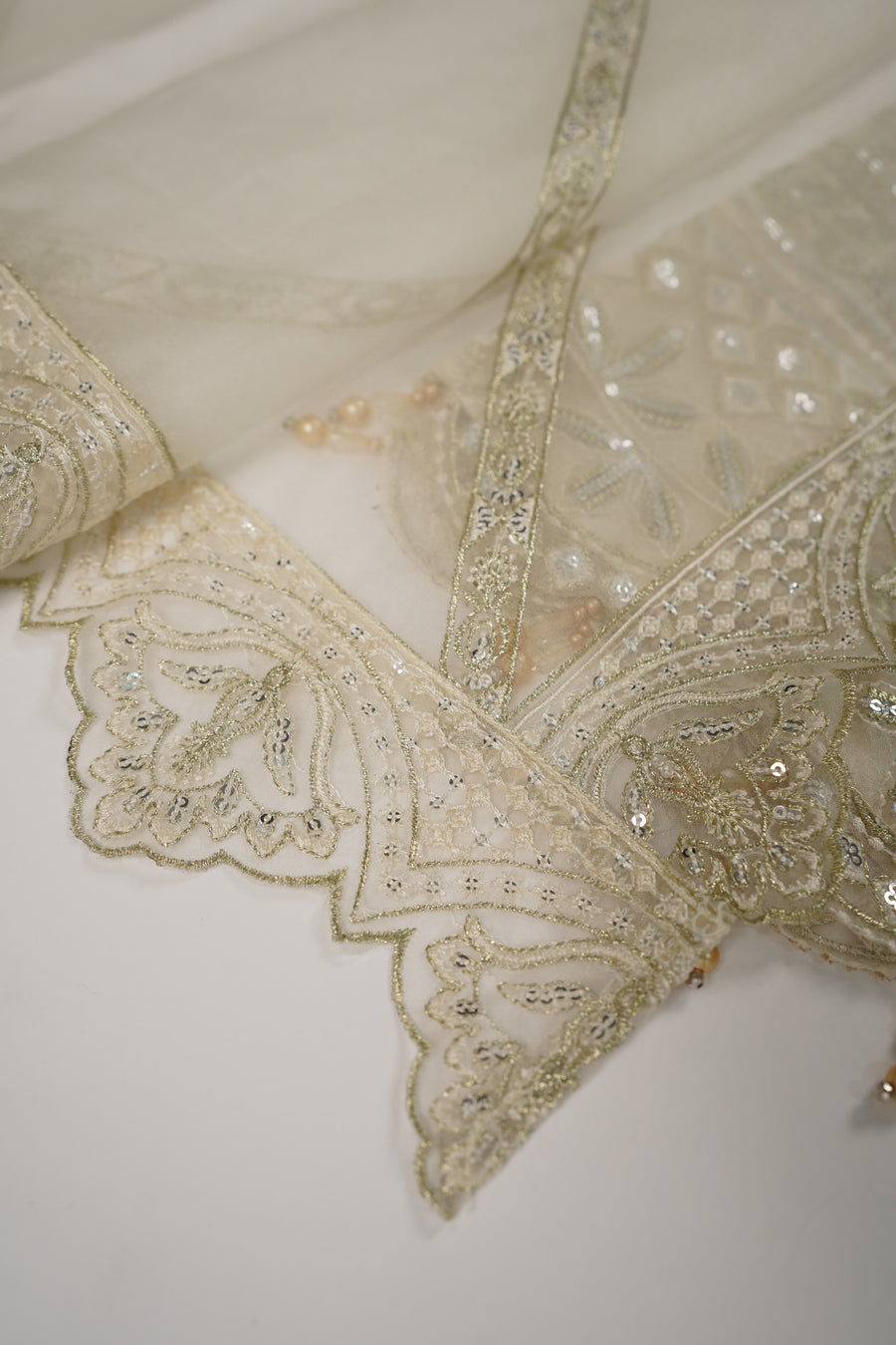 Rang Rasiya luxury collection by shagun dr-01