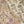 Load image into Gallery viewer, Noor-e-Fishan Exclusive Wedding wear Collection 2025 TS-02
