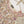 Load image into Gallery viewer, Noor-e-Fishan Exclusive Wedding wear Collection 2025 TS-02

