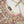 Load image into Gallery viewer, Noor-e-Fishan Exclusive Wedding wear Collection 2025 TS-02
