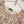 Load image into Gallery viewer, Noor-e-Fishan Exclusive Wedding wear Collection 2025 TS-02
