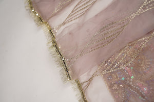 Noor-e-Fishan Exclusive Wedding wear Collection 2025 TS-03