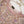 Load image into Gallery viewer, Noor-e-Fishan Exclusive Wedding wear Collection 2025 TS-03
