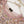 Load image into Gallery viewer, Noor-e-Fishan Exclusive Wedding wear Collection 2025 TS-03
