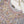 Load image into Gallery viewer, Noor-e-Fishan Exclusive Wedding wear Collection 2025 TS-01
