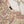 Load image into Gallery viewer, Noor-e-Fishan Exclusive Wedding wear Collection 2025 TS-04
