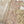 Load image into Gallery viewer, Noor-e-Fishan Exclusive Wedding wear Collection 2025 TS-04
