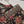 Load image into Gallery viewer, Bin Saeed - Trousers - Exclusive Printed 3PC Collection RB-01
