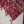 Rang Rasiya luxury Eid collection vol 2 MS-03