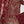 Load image into Gallery viewer, Dastaan Exclusive Branded Organza Collection MP-01
