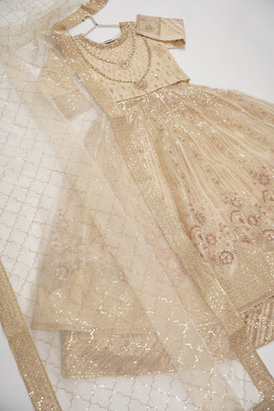 Gul-e-Rung Lehnga Choli Up-07