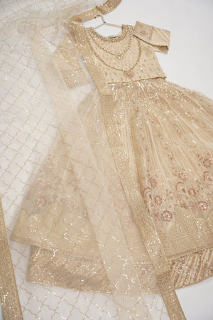 Gul-e-Rung Lehnga Choli Up-07