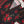 Load image into Gallery viewer, SADA BAHAR Khaddar 3 PCS Collection TK-06
