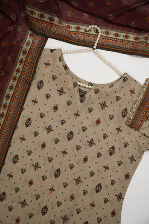 Original Bin Saeed Lawn Collection  TZT-01