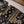 SADA BAHAR Khaddar 3 PCS Collection TK-05