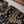 Load image into Gallery viewer, SADA BAHAR Khaddar 3 PCS Collection TK-05
