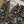 SADA BAHAR Khaddar 3 PCS Collection TK-05