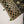 Load image into Gallery viewer, Dastaan Exclusive Velvet collection MM-01
