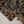 Load image into Gallery viewer, Dastaan Exclusive Velvet collection MM-04
