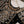 Load image into Gallery viewer, Dastaan Exclusive Velvet collection MM-04
