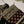 Load image into Gallery viewer, Dastaan Exclusive Velvet collection MM-08
