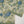 Original Bin Saeed Lawn Collection  TZT-13