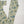 Original Bin Saeed Lawn Collection  TZT-13