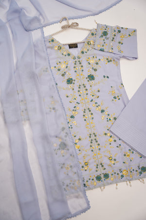 Shagun Exclusive Farshi Shalwar Vol 2 RA-03