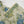 Original Bin Saeed Lawn Collection  TZT-13