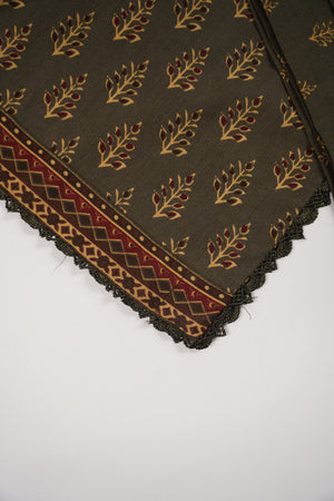 Original Bin Saeed Lawn Collection  TZT-14