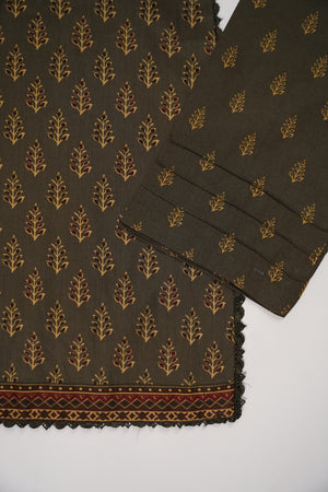 Original Bin Saeed Lawn Collection  TZT-14