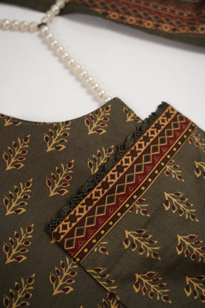 Original Bin Saeed Lawn Collection  TZT-14