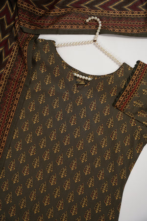 Original Bin Saeed Lawn Collection  TZT-14