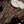 Load image into Gallery viewer, Dastaan Exclusive Velvet collection MM-09
