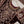 Load image into Gallery viewer, Dastaan Exclusive Velvet collection MM-11
