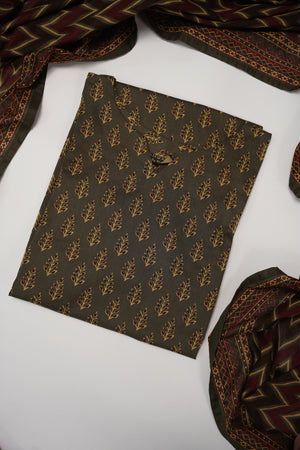 Original Bin Saeed Lawn Collection  TZT-14