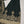 Noor-e-Fishan  Collection TZT-011