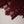 Load image into Gallery viewer, Dastaan Exclusive Velvet collection MM-12
