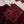 Load image into Gallery viewer, Dastaan Exclusive Velvet collection MM-12
