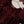 Load image into Gallery viewer, Dastaan Exclusive Velvet collection MM-12
