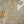 Noor-e-Fishan  Collection TZT-012