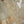 Noor-e-Fishan  Collection TZT-012