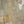 Noor-e-Fishan  Collection TZT-012