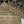 Noor-e-Fishan  Collection TZT-014