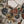 Load image into Gallery viewer, Original Tawakal Staple Linen collection CB-03
