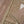 Noor-e-Fishan  Collection TZT-010
