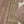 Noor-e-Fishan  Collection TZT-010