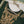 Load image into Gallery viewer, Rang-e-Noor Vol 3 PT-008

