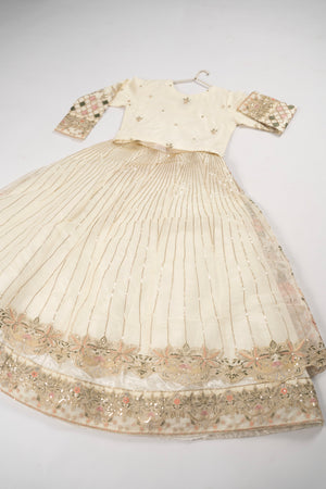 Gul-e-Rung Lehnga Choli TB -01