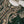 Load image into Gallery viewer, Rang Rasiya luxury Mehndi collection vol 2 MS-04
